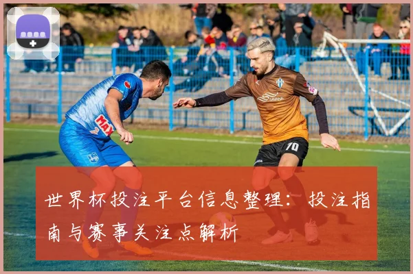 世界杯投注平台信息整理：投注指南与赛事关注点解析