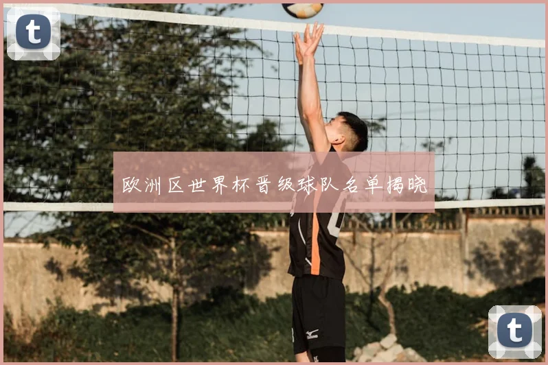 欧洲区世界杯晋级球队名单揭晓