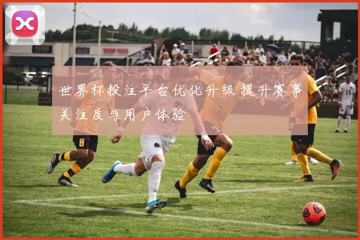世界杯投注平台优化升级 提升赛事关注度与用户体验