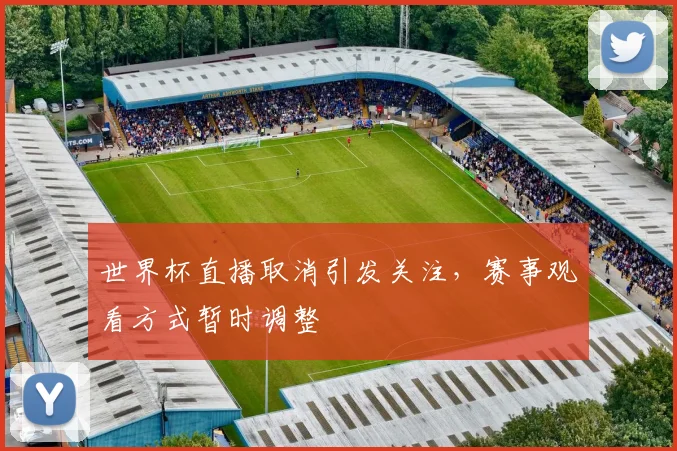 世界杯直播取消引发关注,赛事观看方式暂时调整