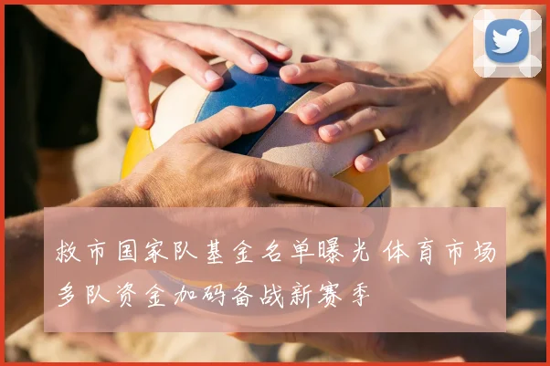 救市国家队基金名单曝光 体育市场多队资金加码备战新赛季