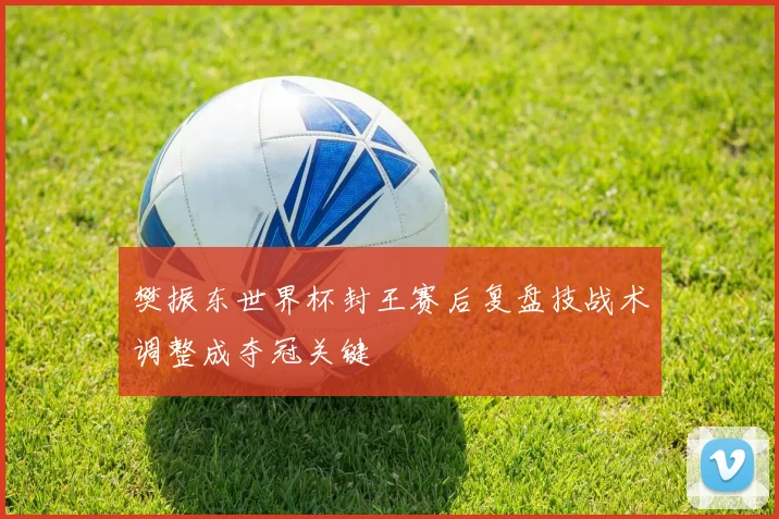 樊振东世界杯封王赛后复盘技战术调整成夺冠关键