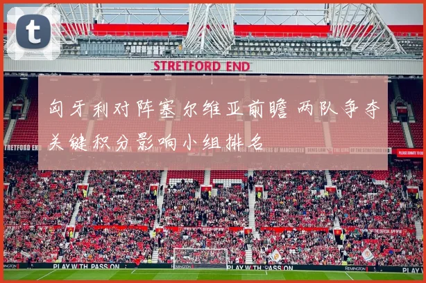 匈牙利对阵塞尔维亚前瞻 两队争夺关键积分影响小组排名