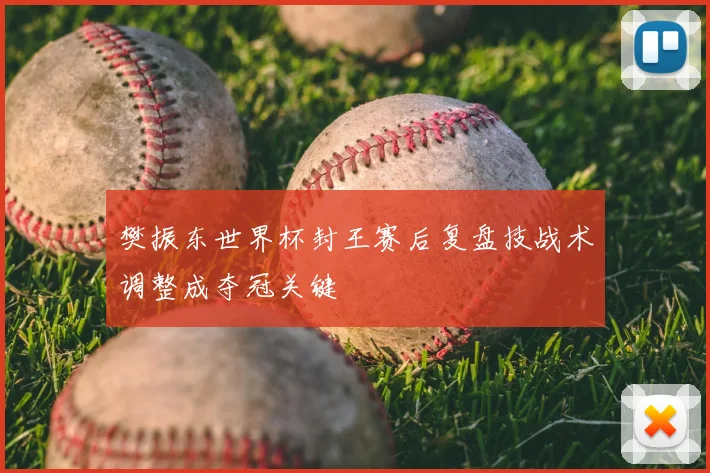 樊振东世界杯封王赛后复盘技战术调整成夺冠关键