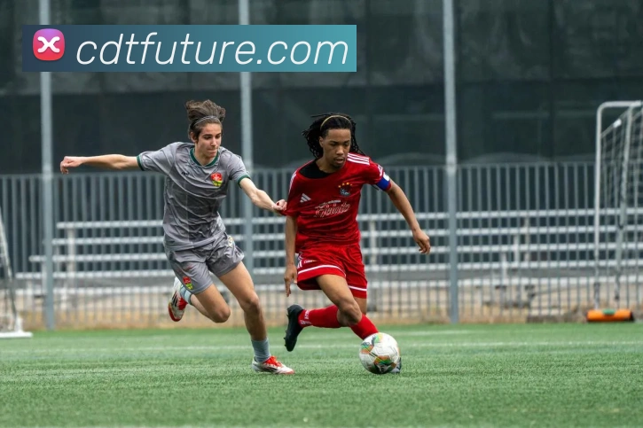 爱游戏首页网站平台生态图